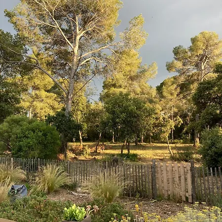 Bed & Breakfast Maison Popup Dans Un Ecrin De Verdure La Londe-les-Maures