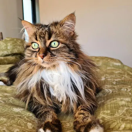 Maison Popup Dans Un Ecrin De Verdure * La Londe-les-Maures